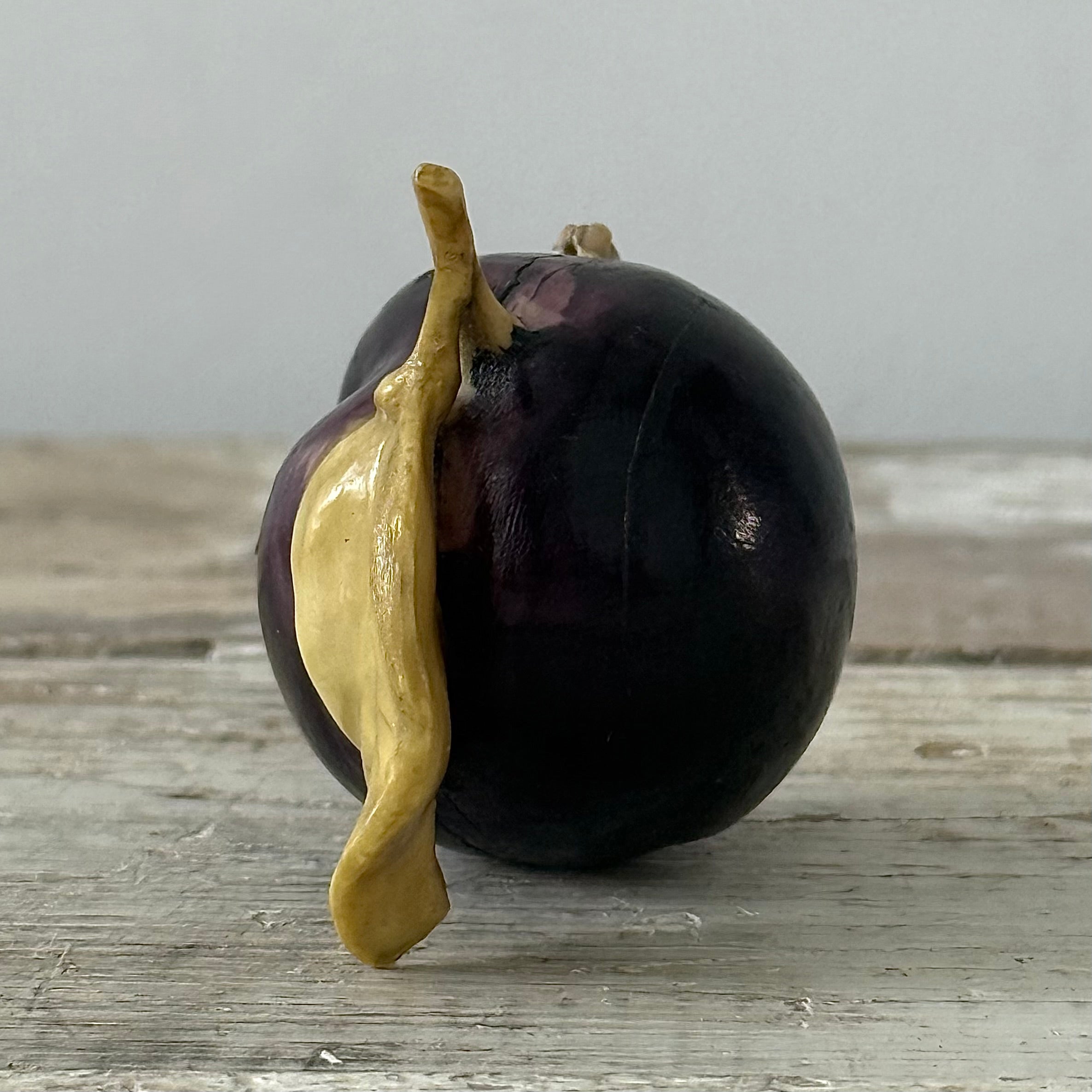 Antique Celluloid Plum Tape Measure with Fly Pull