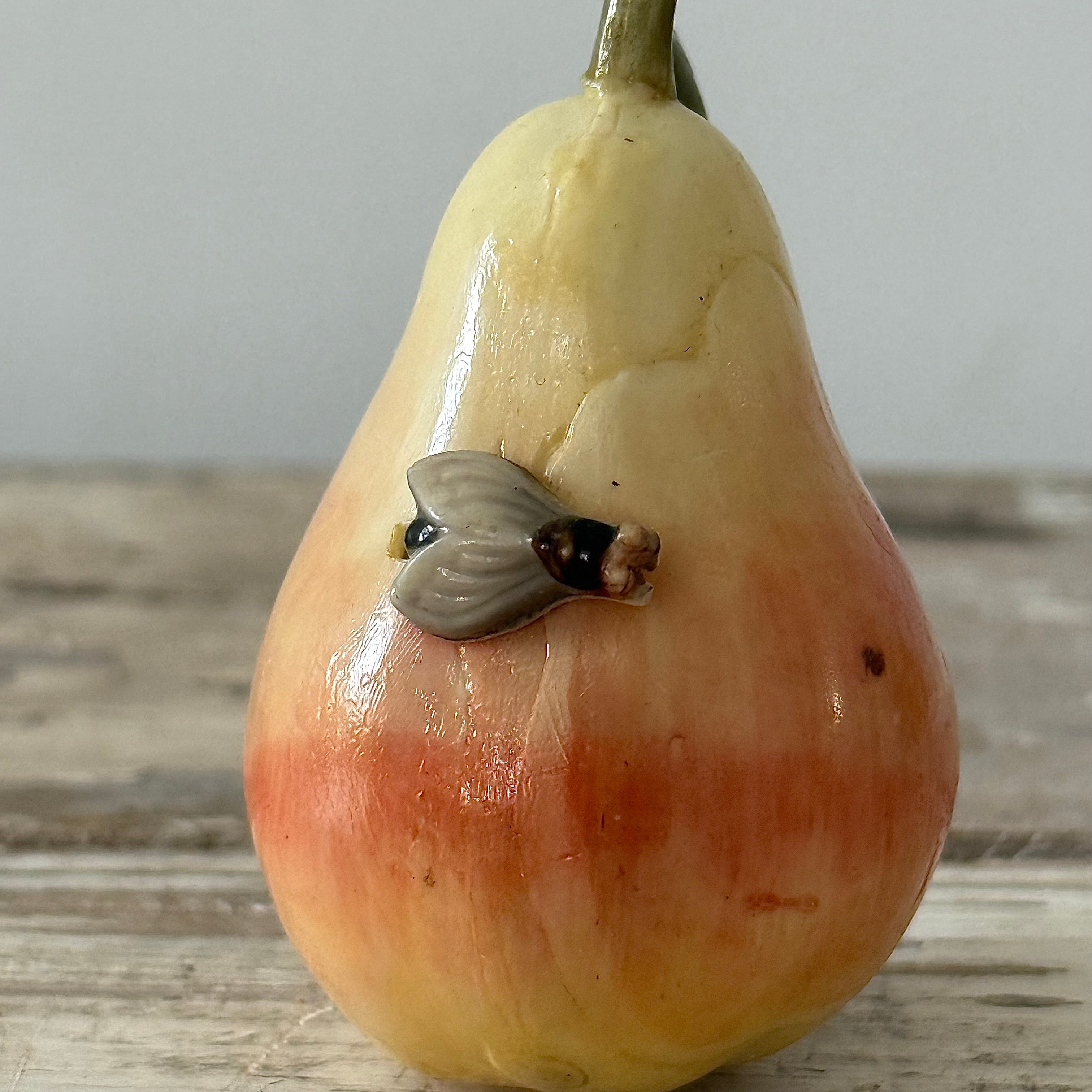 Antique Celluloid Pear Tape Measure in Coquilla Nut Base