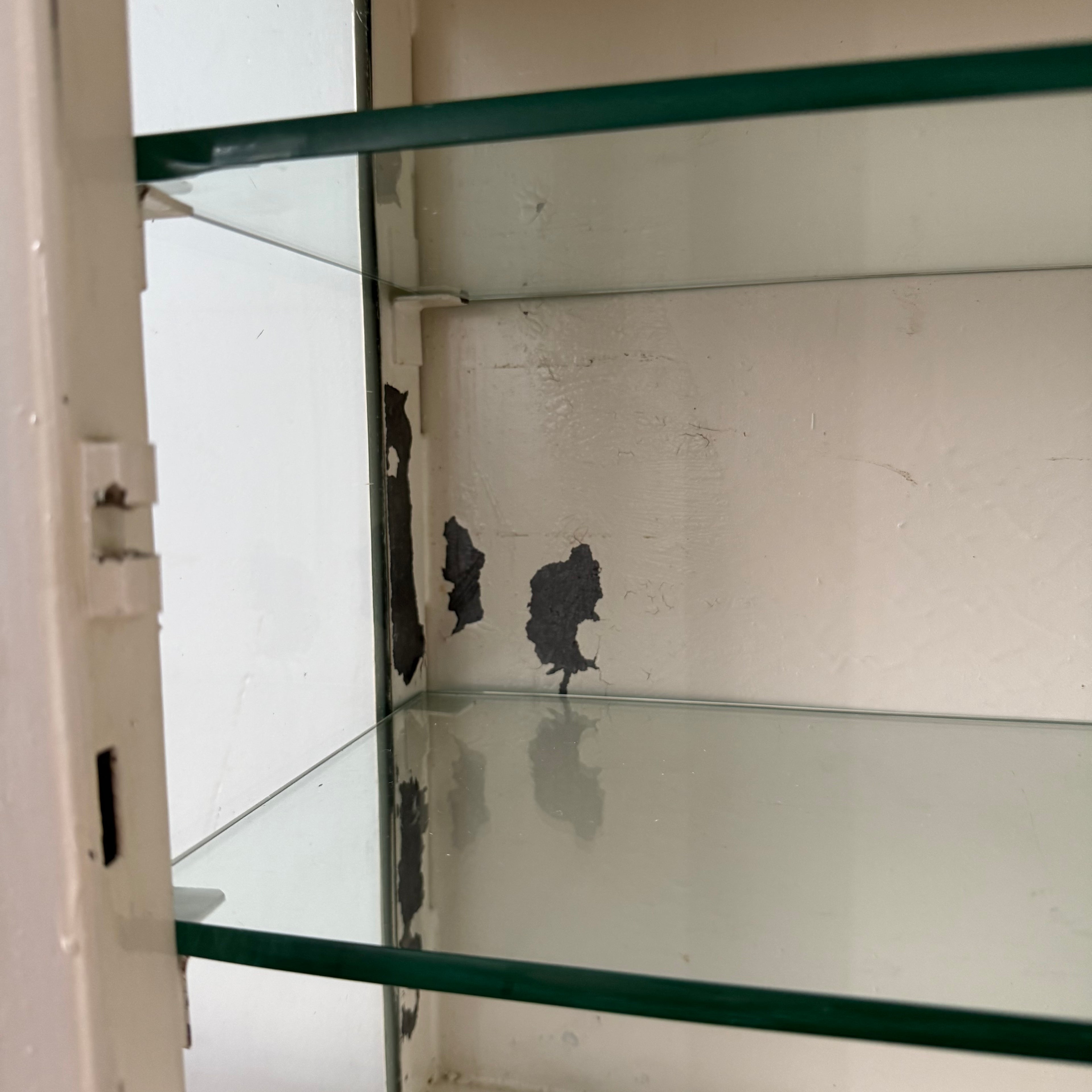 Antique Painted Metal Poison Cabinet with Etched Glass, Shelves & Key – Early 20th Century