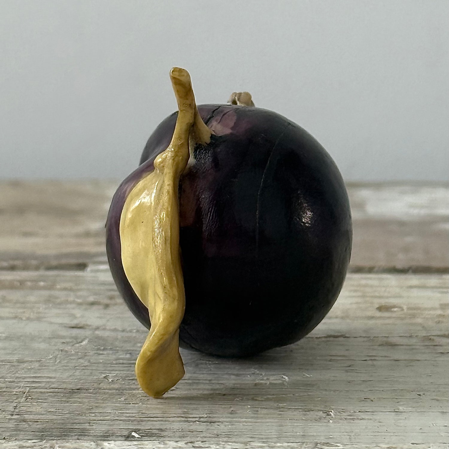Antique Celluloid Plum Tape Measure with Fly Pull