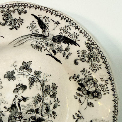 Antique Staffordshire Child’s Plate Girl Picking Grapes c.1840