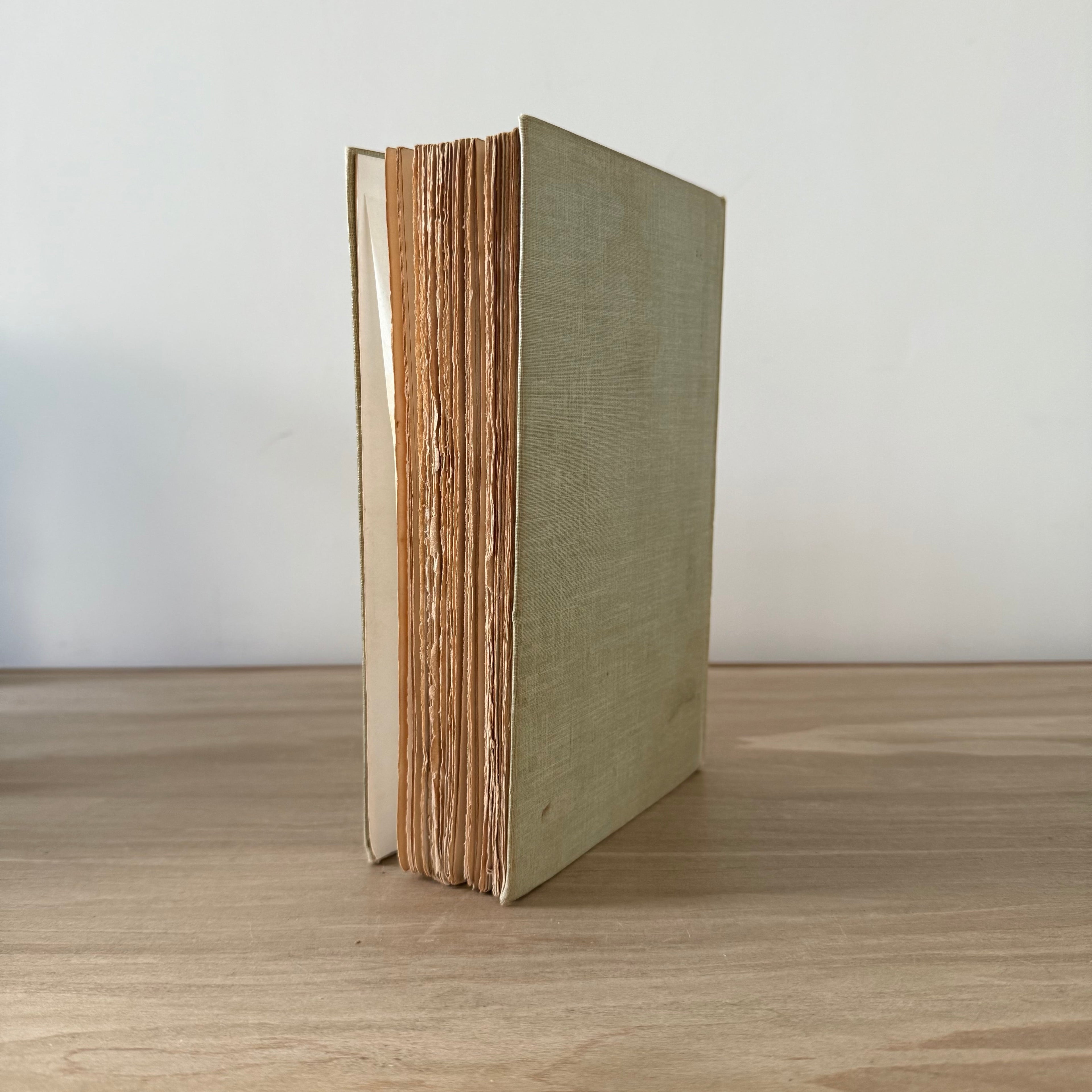 Northanger Abbey – 1907 First Illustrated Edition with Colour Plates by C. E. Brock