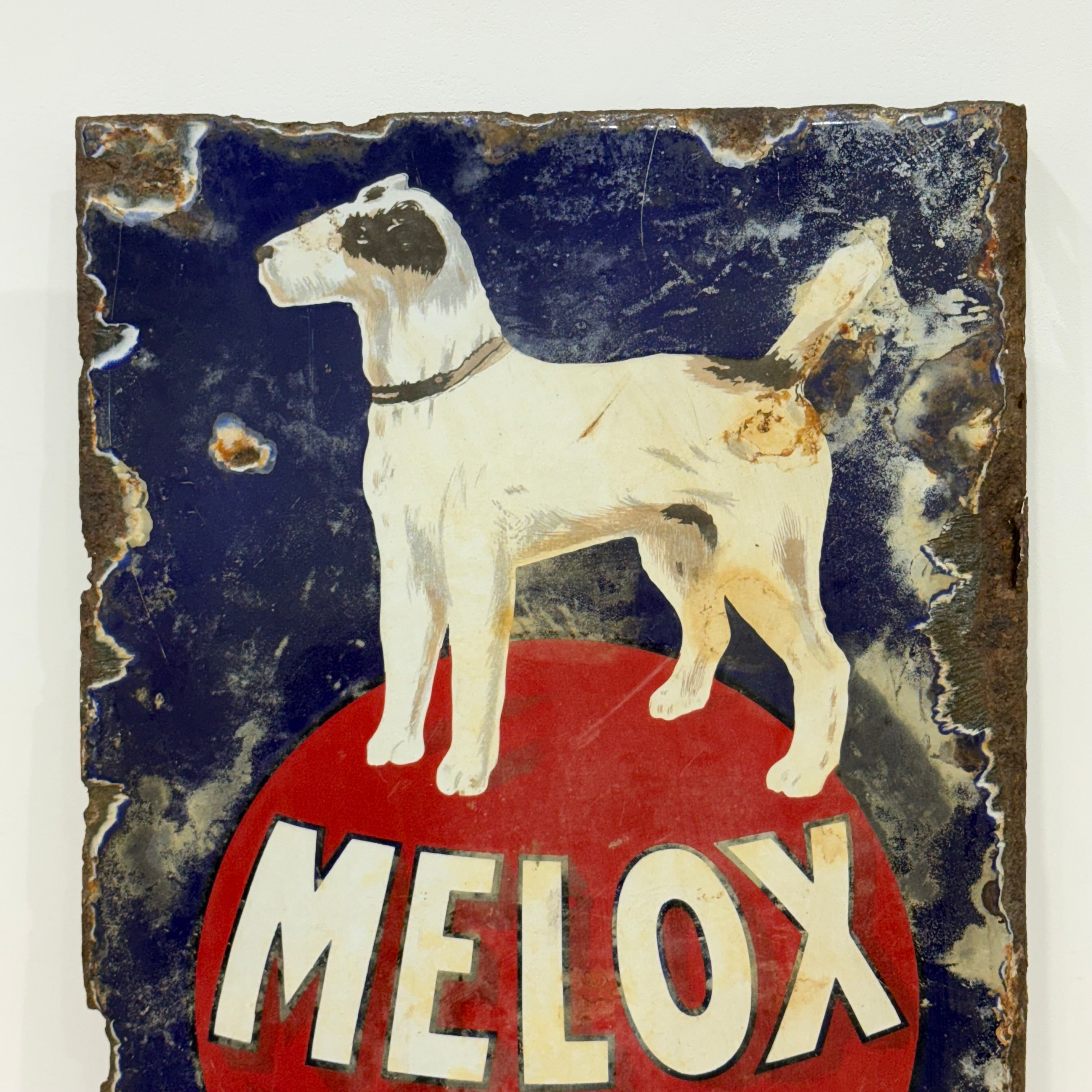 Rare early Melox Dog Foods pictorial enamel advertising sign with terrier