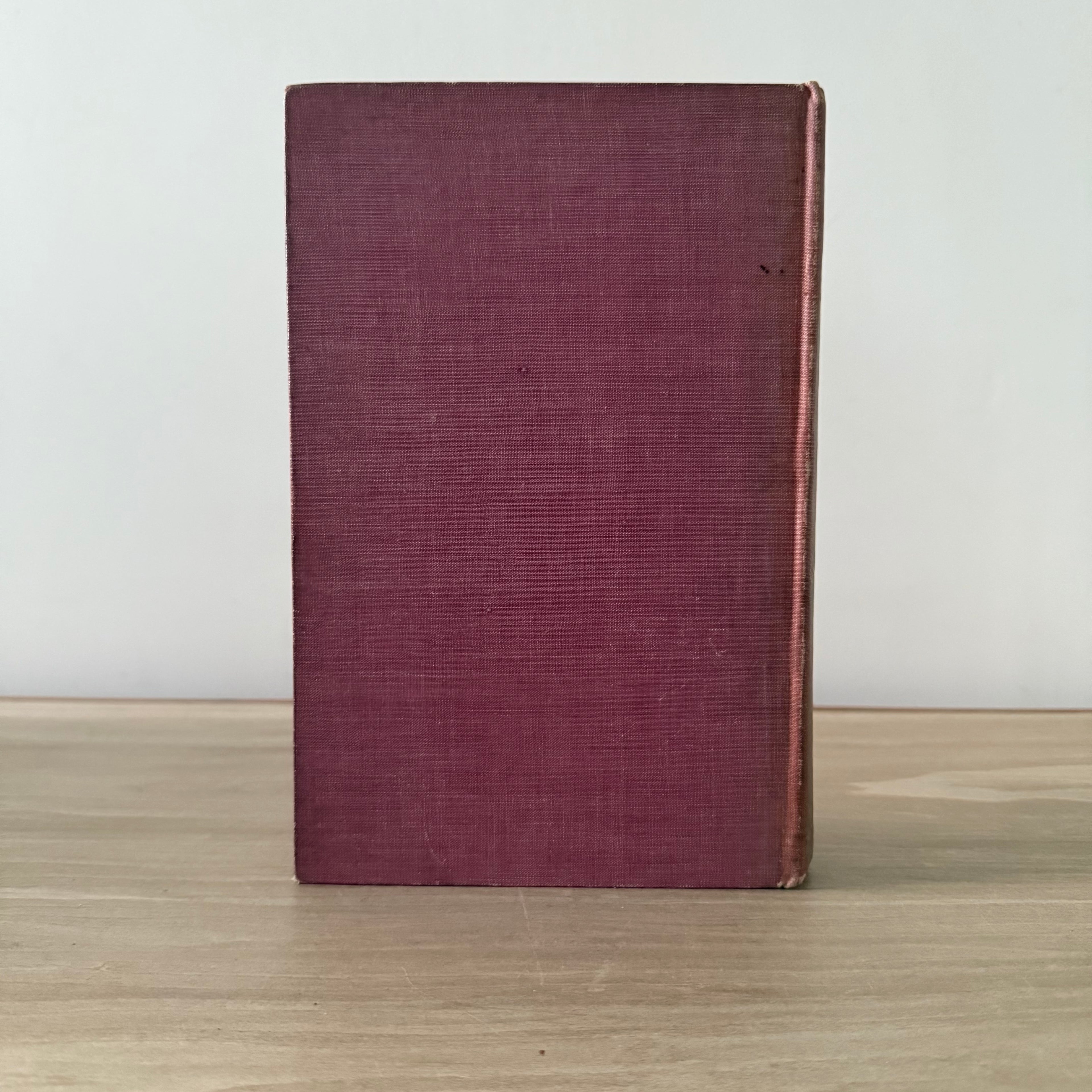 Some Famous Women of Wit &amp;amp; Beauty John Fyvie 1905 Constable Illustrated