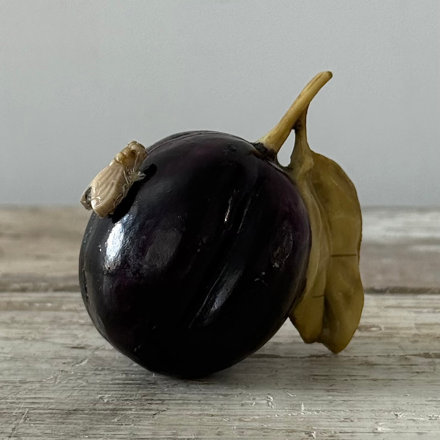 Antique Celluloid Plum Tape Measure with Fly Pull