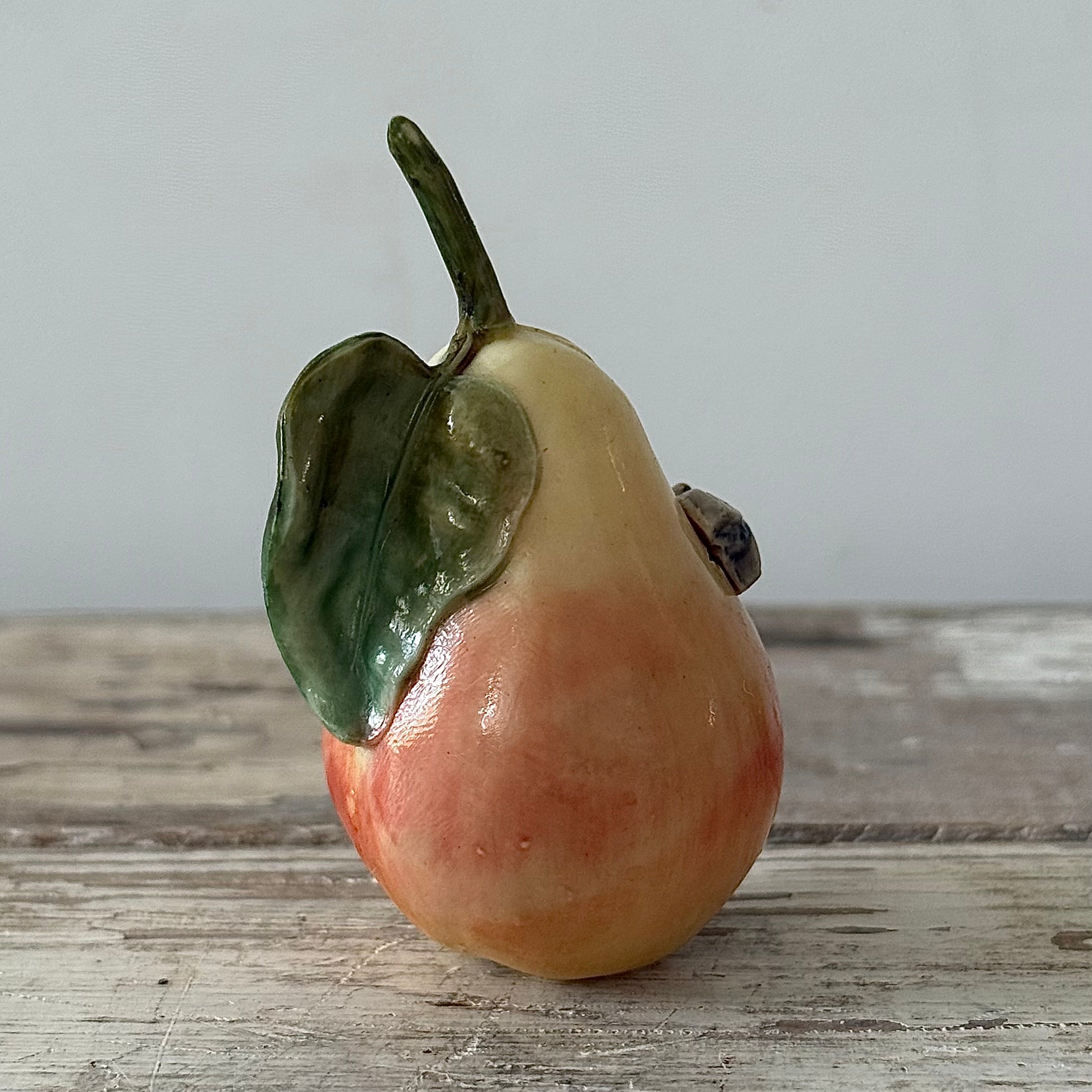 Antique Celluloid Pear Tape Measure in Coquilla Nut Base