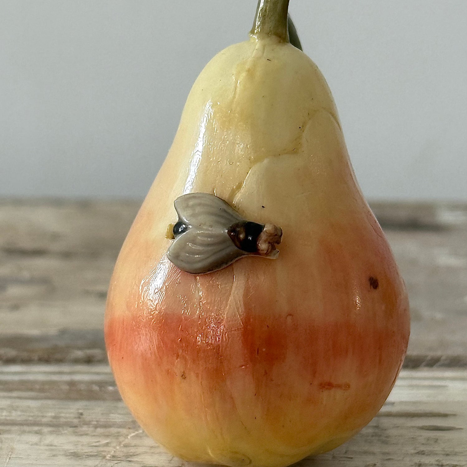 Antique Celluloid Pear Tape Measure in Coquilla Nut Base