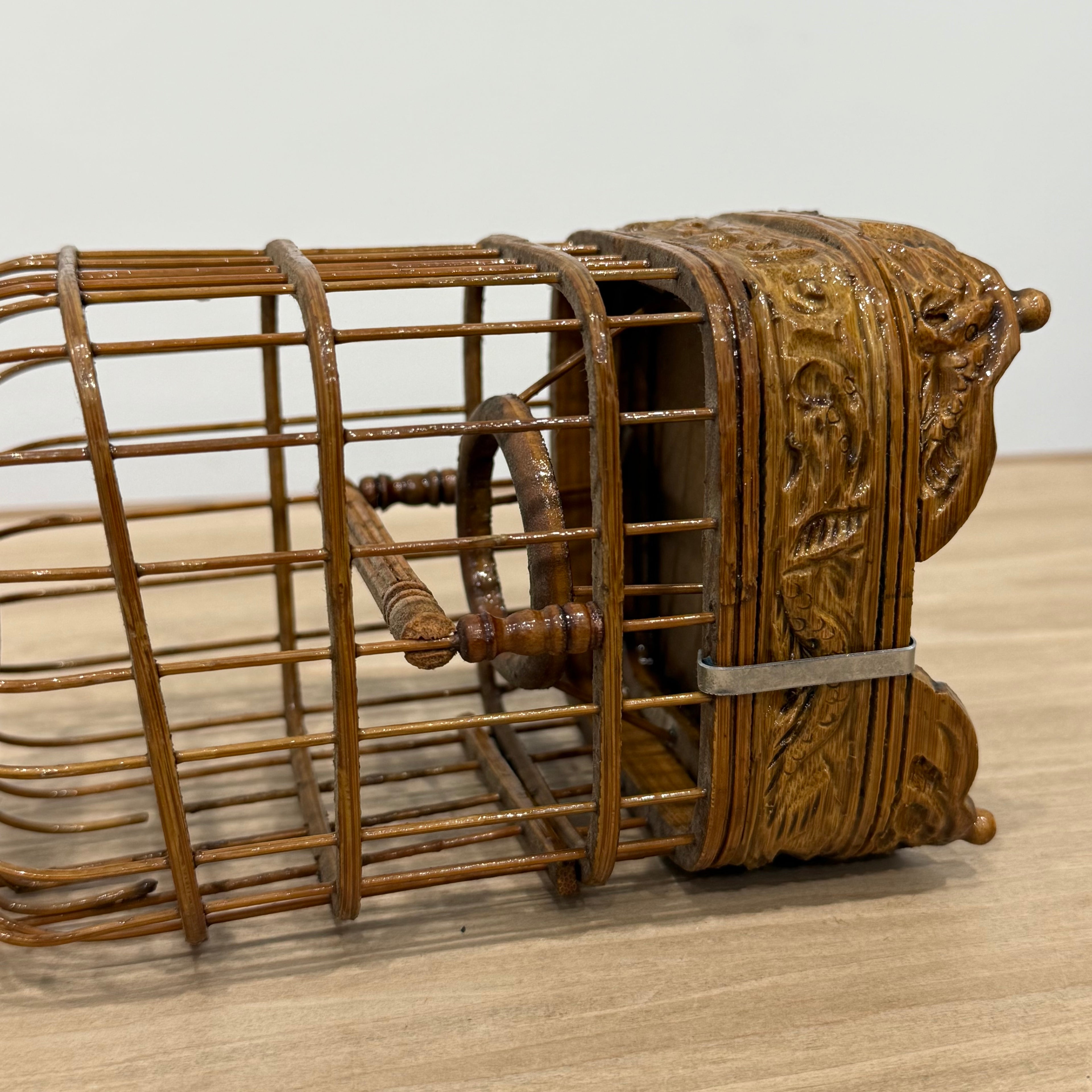 Cricket cage
