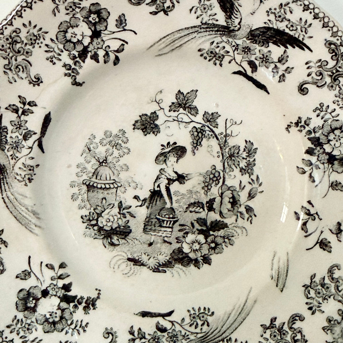 Antique Staffordshire Child’s Plate Girl Picking Grapes c.1840